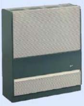 VENTE : RADIATEUR GAZ AUER FLAMME NON VISIBLE 3105